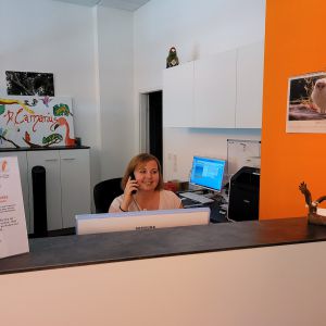 Anmeldung/Empfang