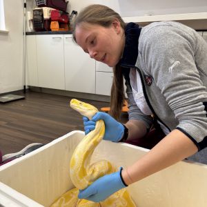 Frauke Vißmann Frauke Vißmann